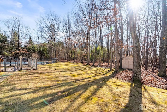 view of yard featuring a storage unit