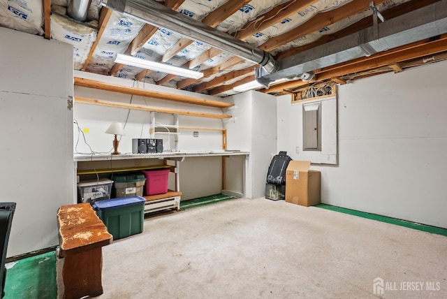 basement with carpet flooring and electric panel