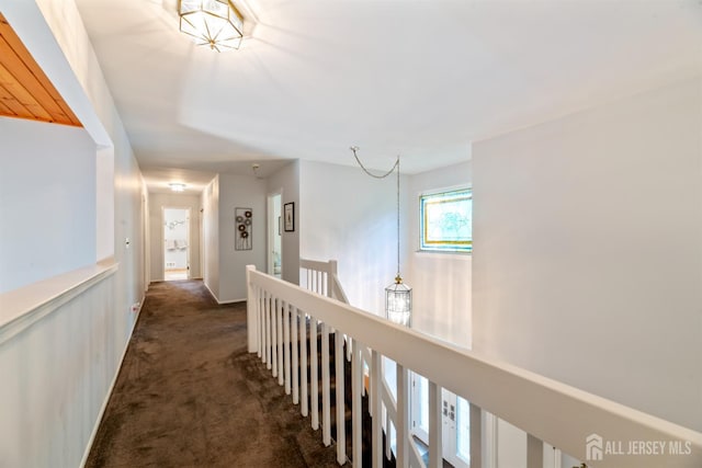 17 Theodore Dr, East Brunswick, NJ 08816 - hall with dark colored carpet and an upstairs landing