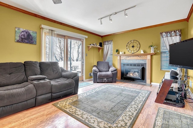 living room featuring crown molding, wood-type flooring, and track lighting