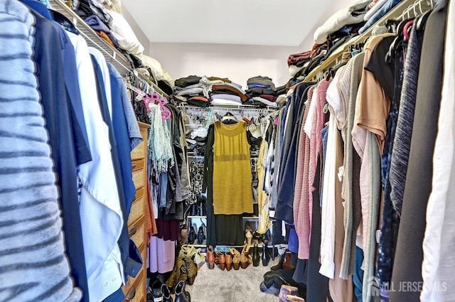 spacious closet featuring carpet flooring