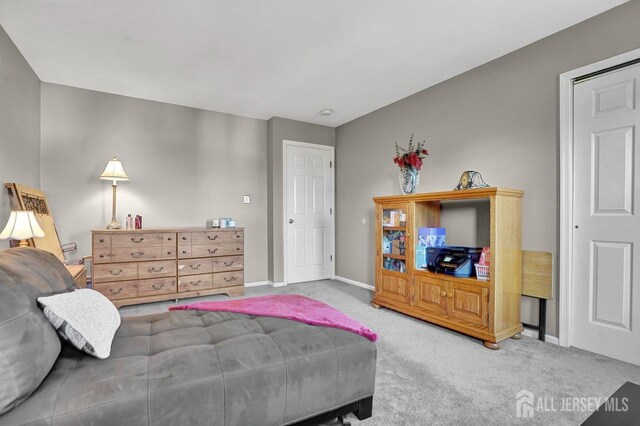 bedroom with baseboards and carpet flooring