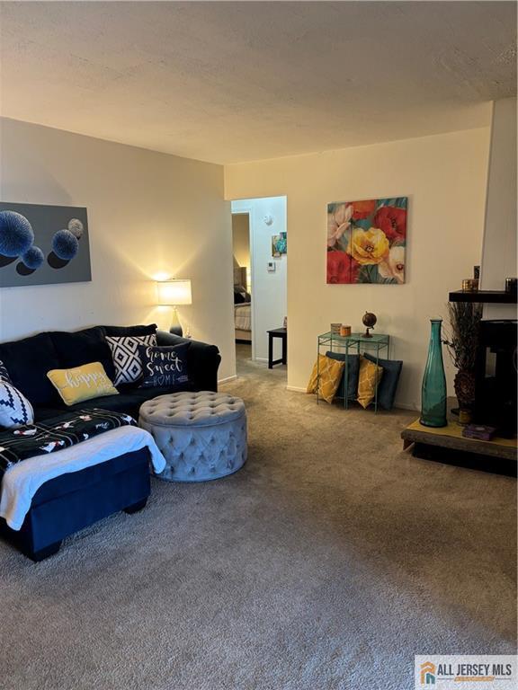 14 Camelot Pl, Washington, NJ 08080 - view of carpeted living room