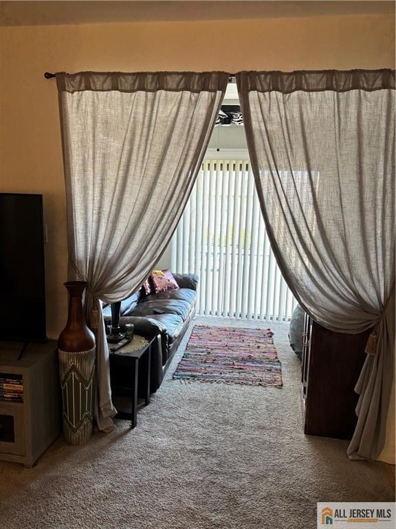 14 Camelot Pl, Washington, NJ 08080 - bedroom with access to exterior and carpet floors