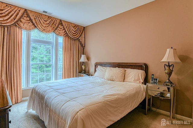 1209 Cedar Village Blvd, East Brunswick, NJ 08816 - photo 14