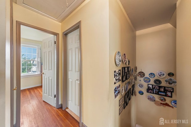 545 Myrtle Ave, Woodbridge Proper, NJ 07095 - hall featuring light wood finished floors and attic access