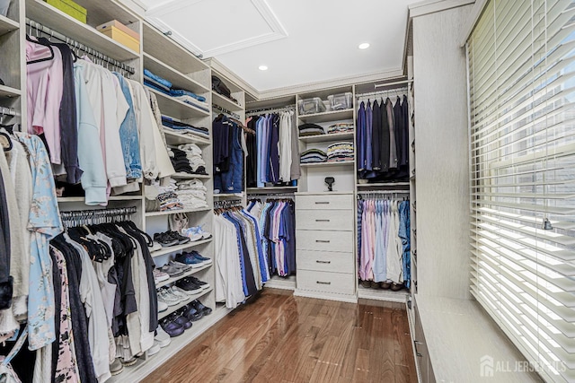 5 Bridle Ct, Monroe, NJ 08831 - spacious closet featuring attic access and wood finished floors