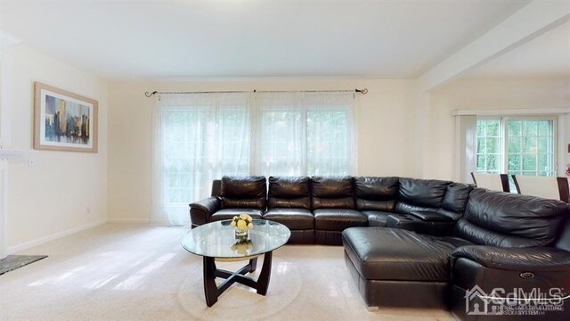 living room featuring light colored carpet