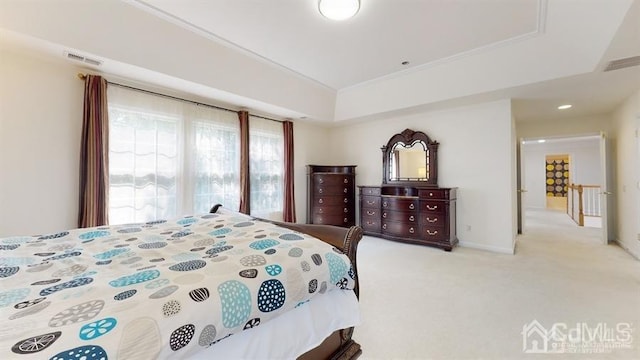 carpeted bedroom featuring a raised ceiling