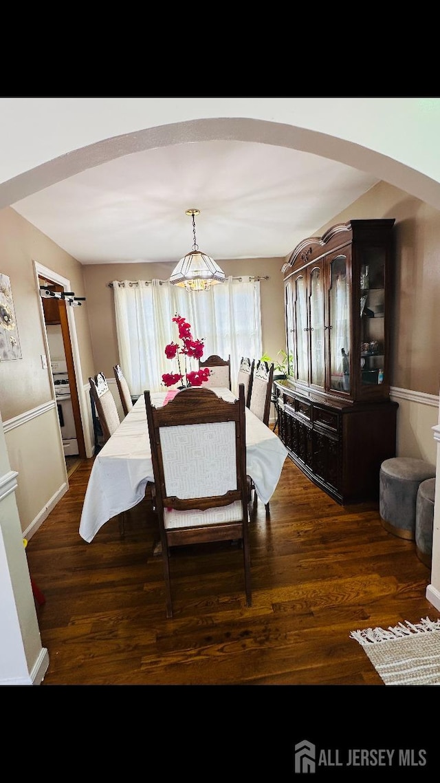 dining area featuring dark hardwood / wood-style flooring