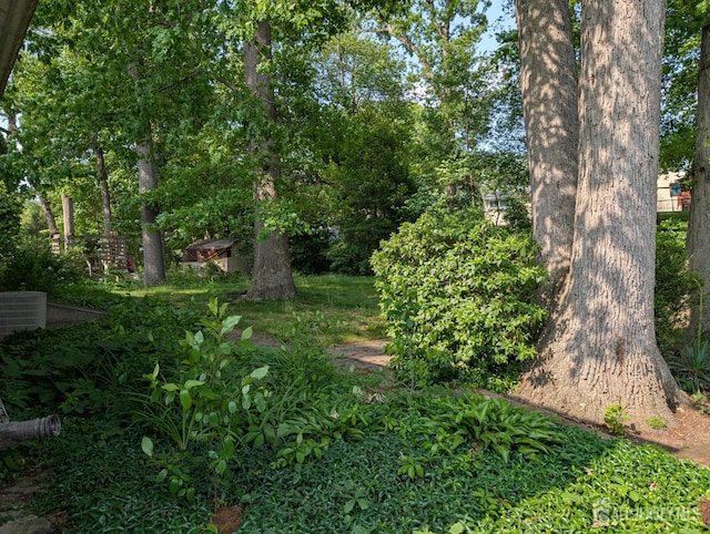28 Tanglewood Ln, East Brunswick, NJ 08816 - view of yard