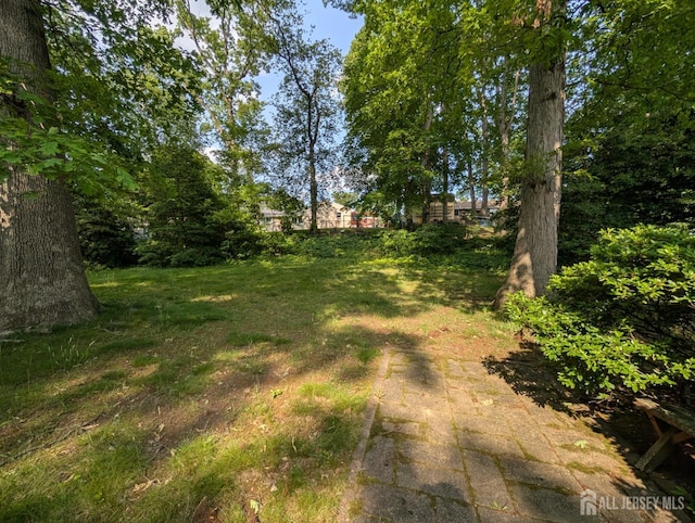 28 Tanglewood Ln, East Brunswick, NJ 08816 - view of yard