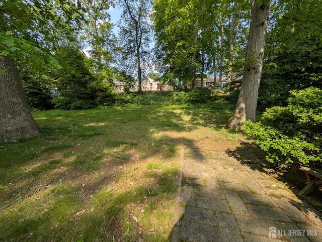 28 Tanglewood Ln, East Brunswick, NJ 08816 - photo 30