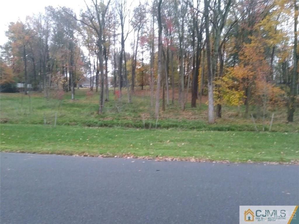 14 Parson Pl, Colonia, NJ 07067