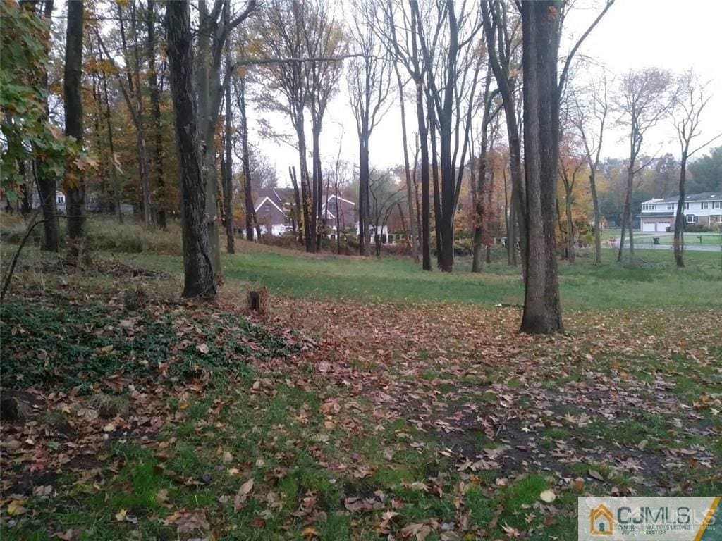 14 Parson Pl, Colonia, NJ 07067