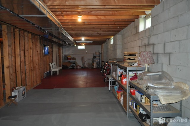 12 Sunny Ct, Monroe, NJ 08831 - basement with concrete block wall, a workshop area, and plenty of natural light