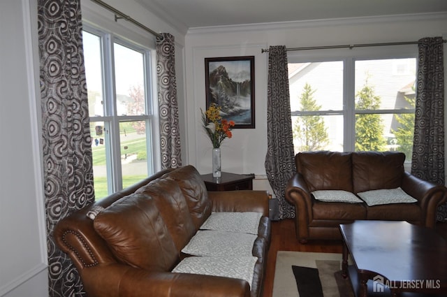 12 Sunny Ct, Monroe, NJ 08831 - living area featuring wood finished floors and ornamental molding