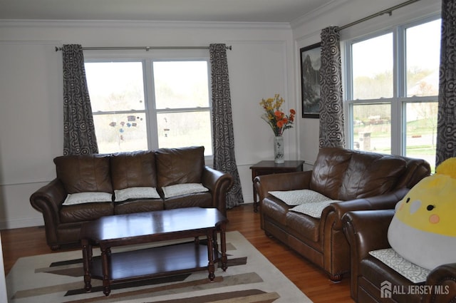 12 Sunny Ct, Monroe, NJ 08831 - living room featuring wood finished floors and ornamental molding