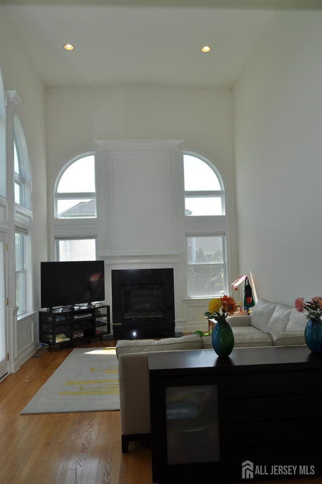 12 Sunny Ct, Monroe, NJ 08831 - living room featuring a glass covered fireplace, wood finished floors, and recessed lighting