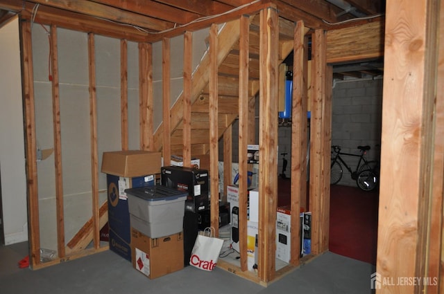12 Sunny Ct, Monroe, NJ 08831 - view of unfinished below grade area