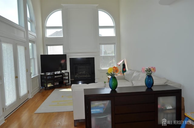 12 Sunny Ct, Monroe, NJ 08831 - living room with healthy amount of natural light, a large fireplace, light wood-style floors, and a high ceiling