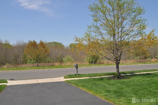 12 Sunny Ct, Monroe, NJ 08831 - view of street