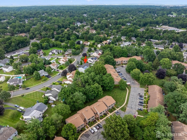 10 Stonewall Dr, Edison, NJ 08820 - photo 48