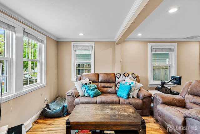 249 Garfield Ave, Old Bridge, NJ 08879 - living area with light wood finished floors, recessed lighting, and crown molding