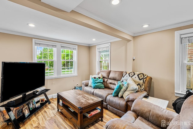 249 Garfield Ave, Old Bridge, NJ 08879 - living room featuring healthy amount of natural light, recessed lighting, light wood-style floors, baseboards, and crown molding