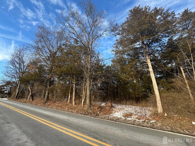 158-166 Bennetts Ln, Franklin NJ, 08873 land for sale