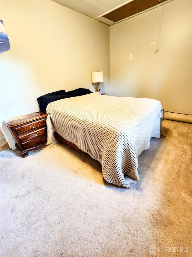 11 Melbourne St, Edison, NJ 08817 - view of carpeted bedroom