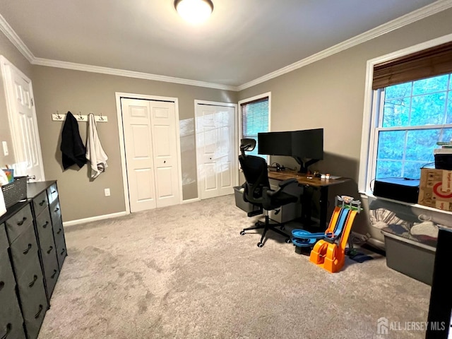 office featuring crown molding and light colored carpet