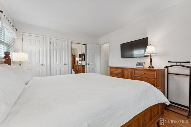 341 Ellis Pkwy, Piscataway, NJ 08854 - bedroom with two closets and wood finished floors