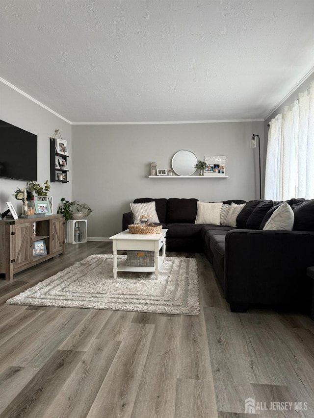 living room featuring a textured ceiling, ornamental molding, and wood finished floors