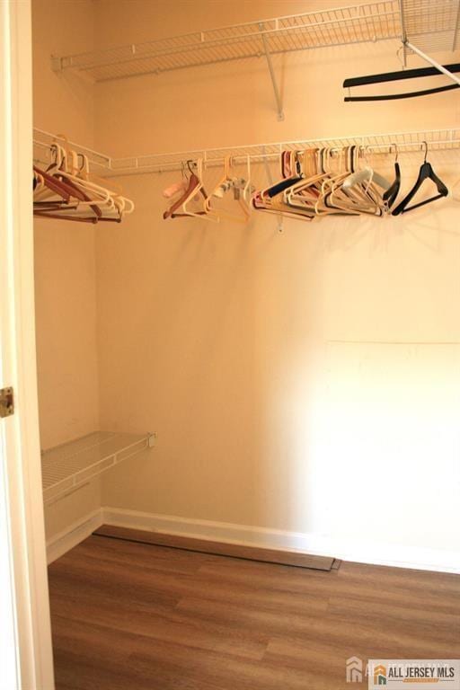 100 John T O Leary Blvd Unit 311, South Amboy, NJ 08879 - spacious closet featuring wood finished floors