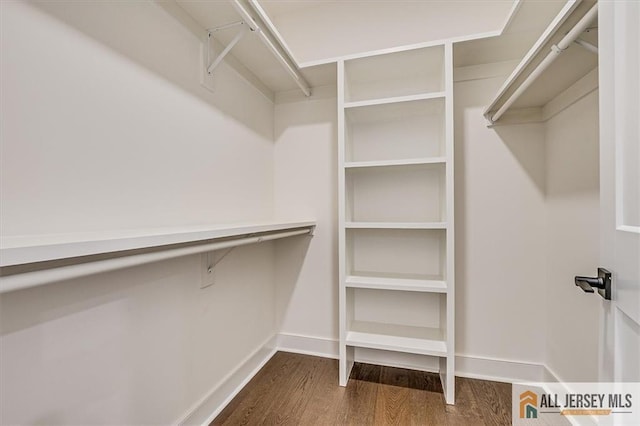 walk in closet with dark wood-type flooring