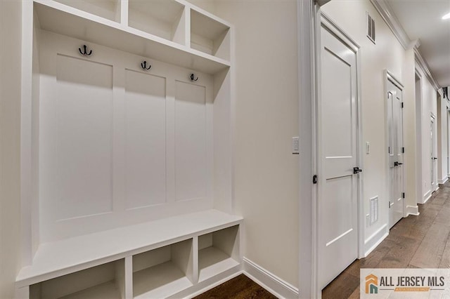 mudroom featuring dark hardwood / wood-style flooring