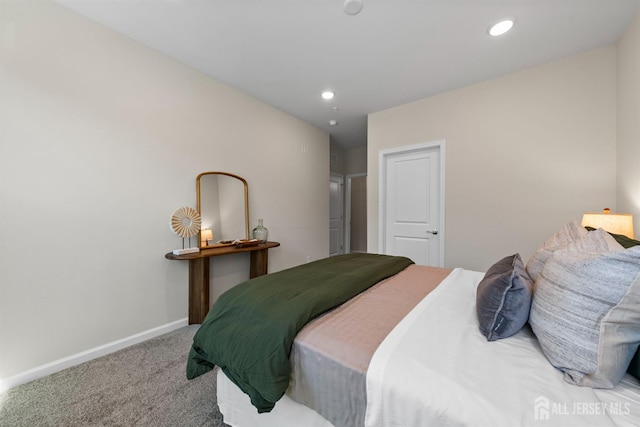 1305 Parker Blvd, West Windsor, NJ 08550 - bedroom with carpet, baseboards, and recessed lighting
