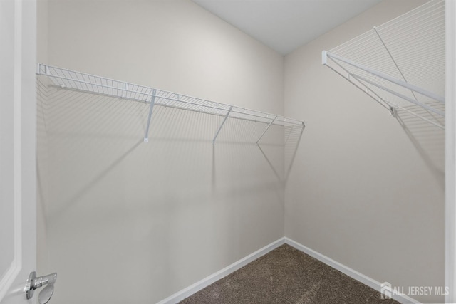 1305 Parker Blvd, West Windsor, NJ 08550 - walk in closet with dark carpet