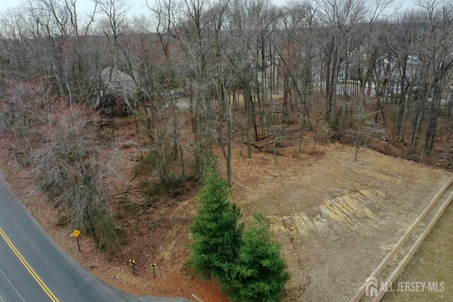 40 Crine Rd, Marlboro, NJ 07751