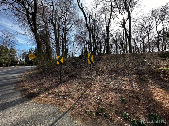 40 Crine Rd, Marlboro, NJ 07751