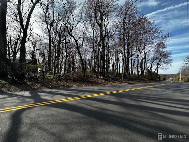 40 Crine Rd, Marlboro, NJ 07751