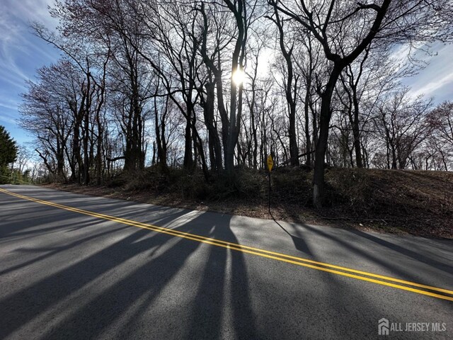 40 Crine Rd, Marlboro, NJ 07751