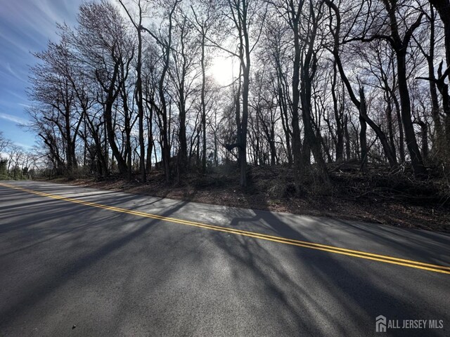 40 Crine Rd, Marlboro, NJ 07751