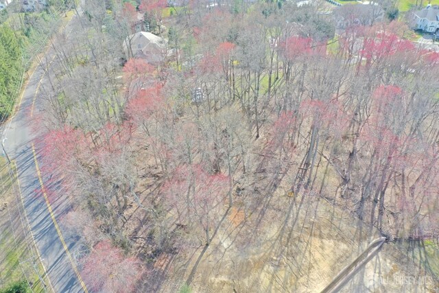 40 Crine Rd, Marlboro, NJ 07751