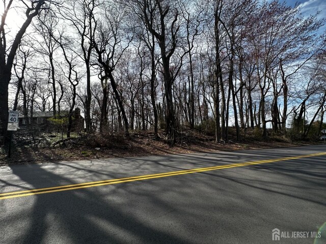 40 Crine Rd, Marlboro, NJ 07751