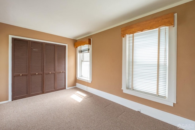 unfurnished bedroom featuring carpet floors, a closet, and crown molding