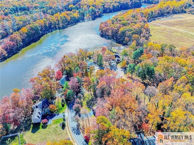 aerial view featuring a water view and a view of trees