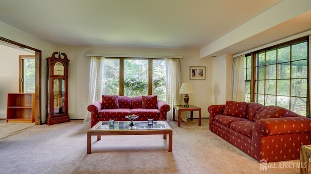 9 Toby Ter, Monroe, NJ 08831 - view of carpeted living area