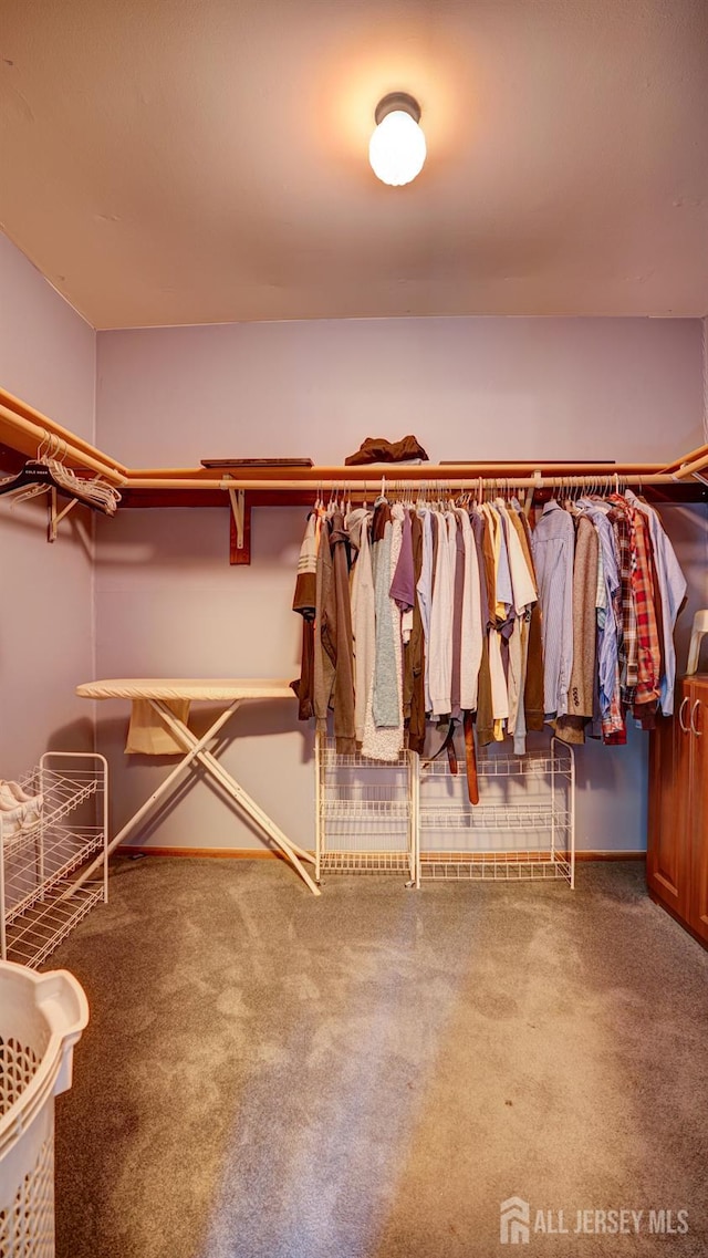 9 Toby Ter, Monroe, NJ 08831 - spacious closet with carpet